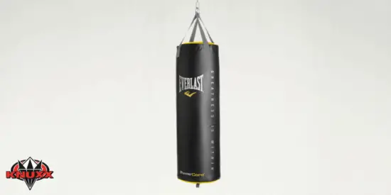 Everlast PowerCore 100 lb. Nevatear Heavy Bag Review in 2020 | KNUXX