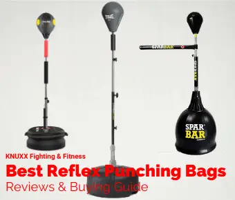 Best Reflex Punching Bags and Training Balls